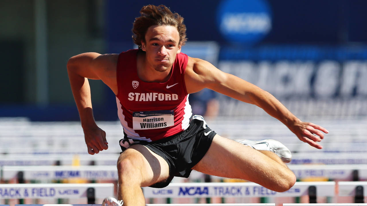 This summer HARRISON WILLIAMS broke a 63-year-old school record in a runner-up finish at Pac-12 and claimed the gold medal at the Pan Am Junior Championships.