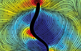 illustration of swimming lamprey