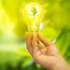 hand holding a light bulb with energy and fresh green leaves inside on nature background