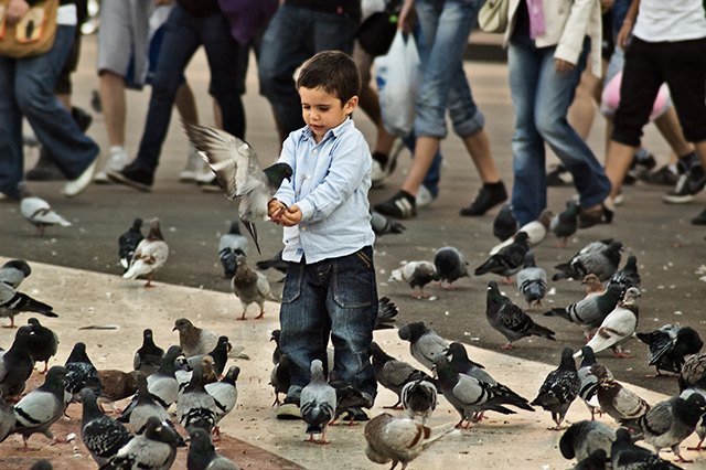 Kid Feeding Pigeons at Plaça Catalunya, Barcelona [enlarge]