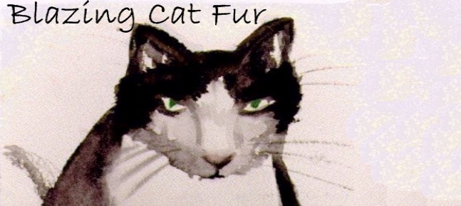 Blazing Cat Fur