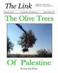 Olive TRees