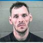 Schoenborn withdraws request for escorted leave