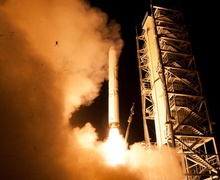 The Frog That Got Caught in the Crossfire of a Rocket Launch