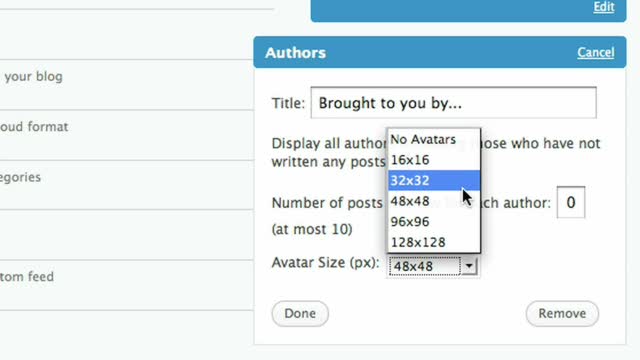 The Authors widget (pre-August 2009)