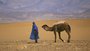 Desert is expanding  One fifth of the Middle East &amp; North Africa threatened 