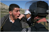 The Spectacle of West Bank Protests