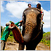 Elephant trekking near Khao Phra Thaeo Wildlife Sanctuary with Bang Pae Safari.