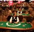 Taking a Gamble: “All In” Director Douglas Tirola