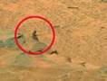 Spooky photo proves life on Mars?