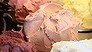 Messina - the future of gelato (Video Thumbnail)