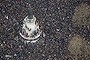 Unity rally at the Place de la Republique in Paris in tribute to the 17 victims of a three-day killing spree by homegrown Islamists. The killings began on January 7 with an assault on the Charlie Hebdo satirical magazine in Paris.