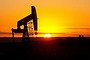 US oil production will continue its surge to hit a record 9.6 million barrels a day in 2016, the US Energy Department predicts.