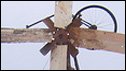William Kamkwamba's windmill (TED/Tom Rielly)