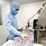 worker with bottles of vaccine (AP Images)