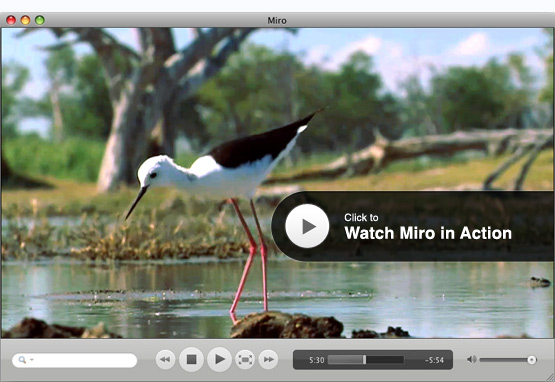 Miro HD Video Player