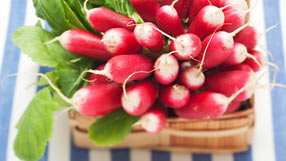 Cook's Guide (Radishes)