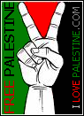 FREE PALESTINE