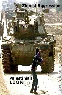 A Palestinian Kid facing the facist zionist war machine