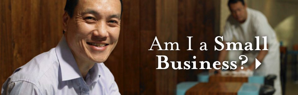Am I a Small Business?