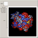 Insulin Molecule