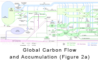 Exergy Flow Chart Figure 2a