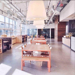 Dropbox's sunlit cafe