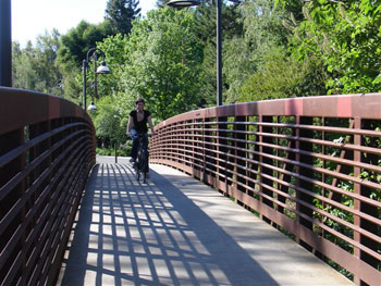 Bike Bridge