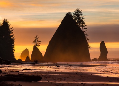 Got any new year’s resolutions for 2022?
🌄Watch more sunrises?
🌲Get outdoors more?
🥬Eat more kale?
We highly recommend that first and second option. Photo of Olympic National Park by John Donofrio (sharetheexperience.org). Photo description: Several...