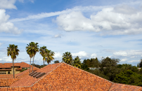 Rooftop view of Hoover Tower from the Main Quad. Photo cred: Ian Terpin.