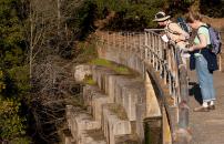 A female docent and participant pause in their hike to peer over Searsville Dam at Jasper Ridge Biological Preserve.