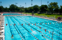 Stanford swimming pool