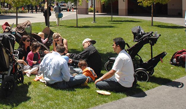 MSx Fellows and their families enjoying a sunny day