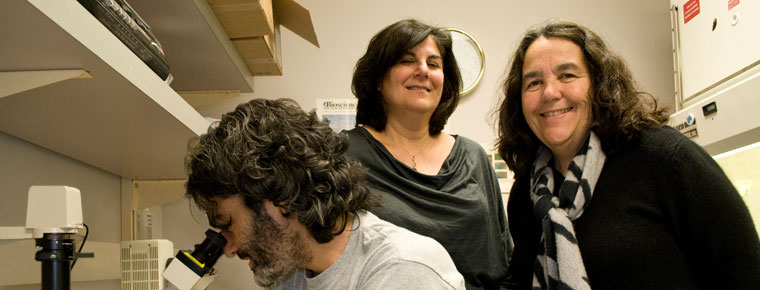 Stanford Biosciences student working at fume hood