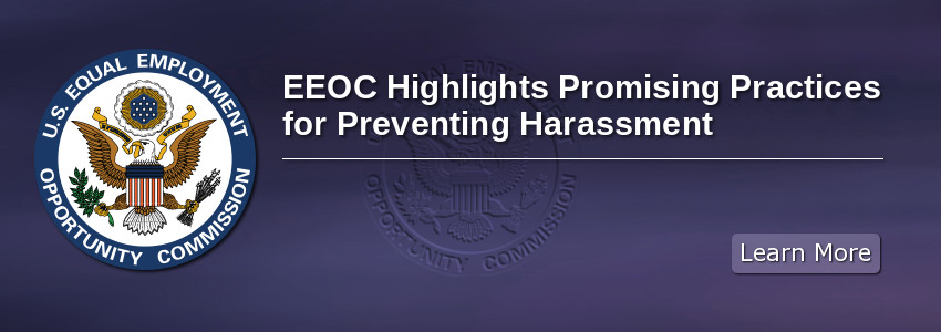 Promising Practices for Preventing Harassment