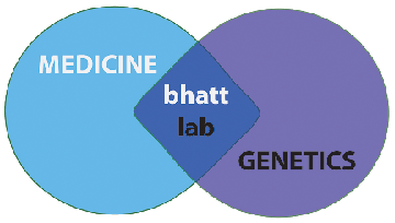 Barna Lab