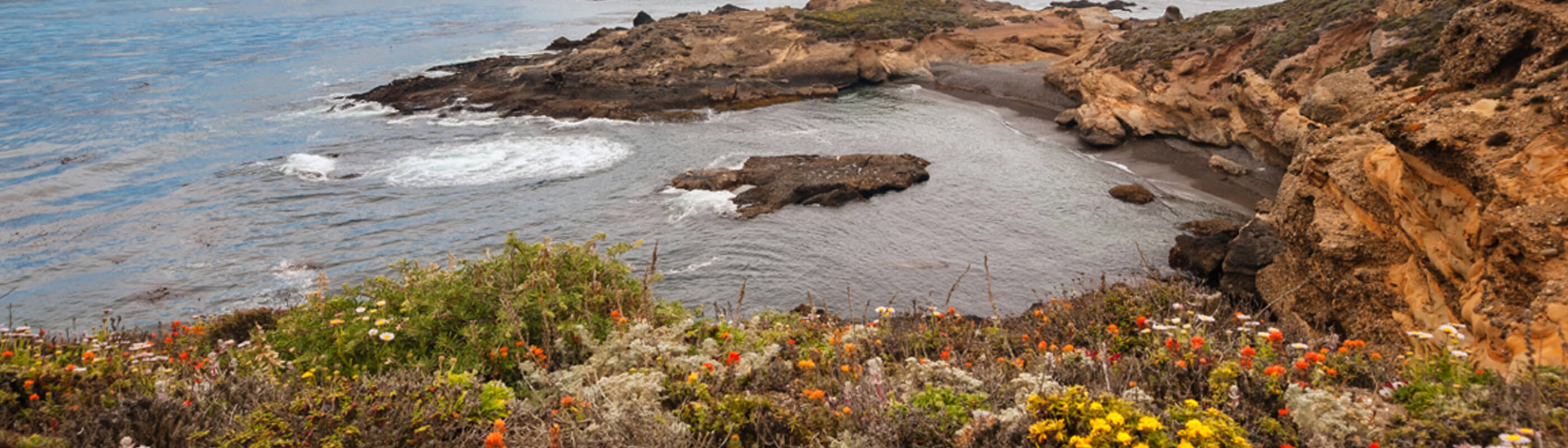Photo of Point Lobos coast
