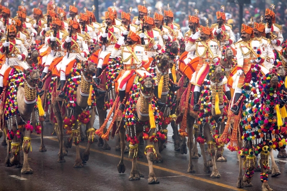 President Obama Views Camels at India Republic Day Parade