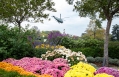 Marine One Departs the South Lawn