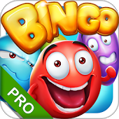 Bingo - Pro Bingo Crush™