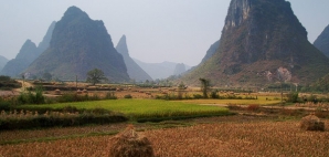 A wheat field in China