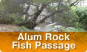 Alum Rock Fish Passage Image Gallery image button