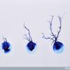 Brain neurons, Stanford Neurosciences Institute