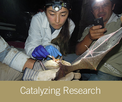 Catalyzing Research