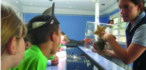 Children experience an exhibit at the Marine Mammal Center in Sausalito, Calif.