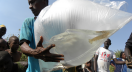 Moving shrimp to river test site in Senegal, West Africa