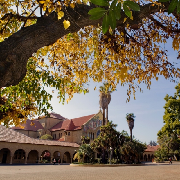 Fall in the Quad