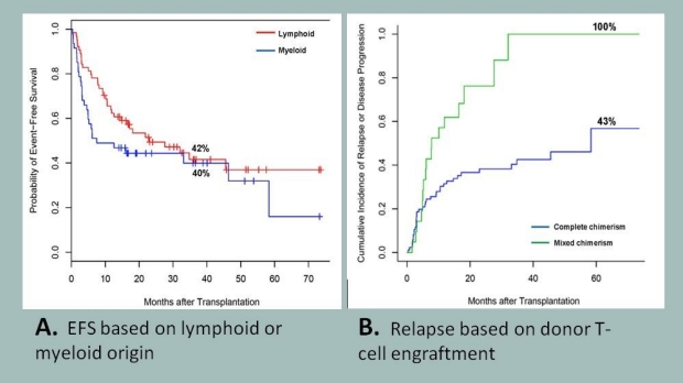 A Non-Myeloablative Allogeneic Transplant Becomes the Ultimate ImmunoTherapy