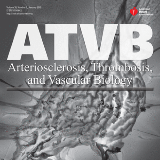 cover of ATVB journal