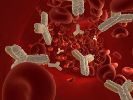 Antibody could increase cure rate for blood, immune disorders